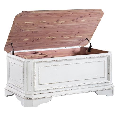 Magnolia Manor Storage Trunk