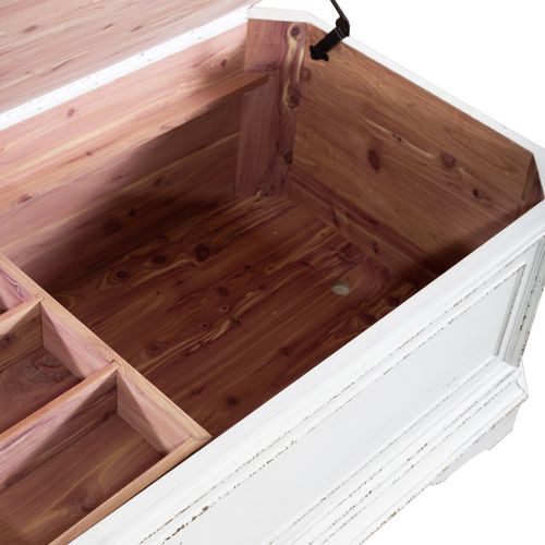 Magnolia Manor Storage Trunk