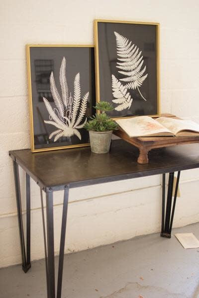 Set Of Two Black And White Fern Prints Under Glass