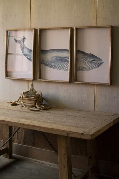 Triptych Framed Whale Print Under Glass