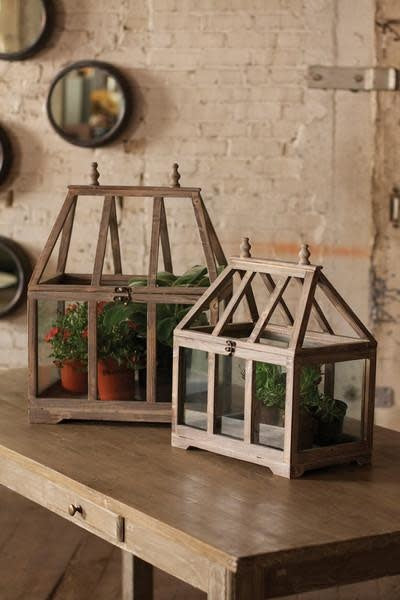 Set Of 2 Wood And Glass Terrariums