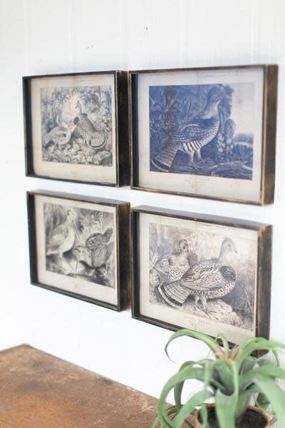 S/4 Bird Prints Under Glass
