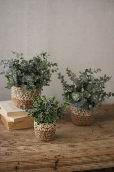 Set Of Three Artificial Eucalyptus Plants In Woven Pots