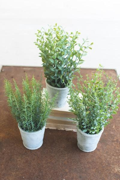 Set Of Three Artifial Herbs In Cement Pots