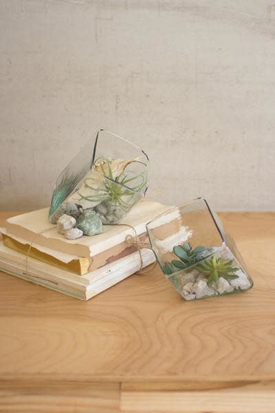 Tilted Square Glass Terrarium