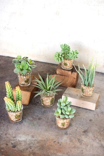 Set Of 6 Artificial Succulents In Glass Containers