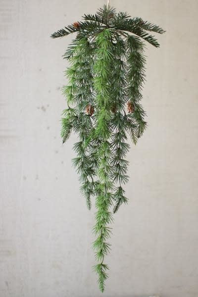 Hanging Pine With Cones
